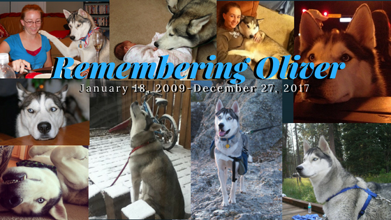 Remembering Oliver2